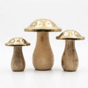 Trio de Cogumelos Champignon