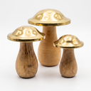 Trio de Cogumelos Champignon